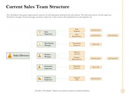 Current Sales Team Structure Representative Ppt Powerpoint Presentation File Rules