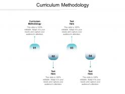 Curriculum methodology ppt powerpoint presentation visual aids infographic cpb