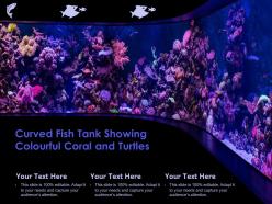 Curved Fish Tank Showing Colourful Coral And Turtles
