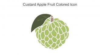 Custard Apple Fruit Colored Icon In Powerpoint Pptx Png And Editable Eps Format