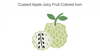 Custard Apple Juicy Fruit Colored Icon In Powerpoint Pptx Png And Editable Eps Format