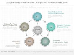 Custom adaptive integrative framework sample ppt presentation pictures