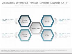 Custom adequately diversified portfolio template example of ppt