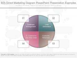 Custom b2b direct marketing diagram powerpoint presentation examples