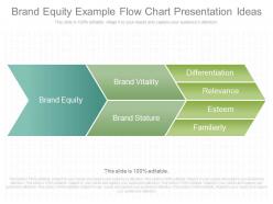 Custom Brand Equity Example Flow Chart Presentation Ideas