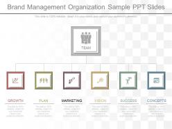 Custom brand management organization sample ppt slides