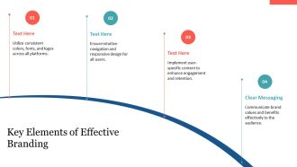 Custom Branding For Customer Portals PPT Structure AT Ideas Interactive