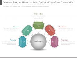 Custom business analysis resource audit diagram powerpoint presentation