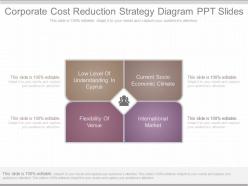 Custom corporate cost reduction strategy diagram ppt slides