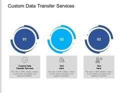 Custom data transfer services ppt powerpoint presentation infographics diagrams cpb