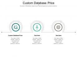 Custom database price ppt powerpoint presentation model rules cpb