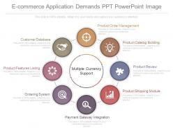 Custom E Commerce Application Demands Ppt Powerpoint Image