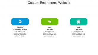Custom ecommerce website ppt powerpoint presentation layouts styles cpb