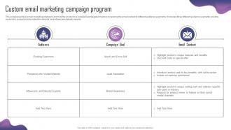 Custom Email Marketing Campaign Program Product Adaptation Strategy For Localizing Strategy SS