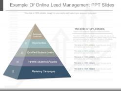 Custom example of online lead management ppt slides