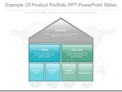 Custom example of product portfolio ppt powerpoint slides