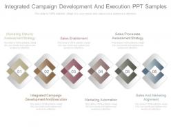 Custom Integrated Campaign Development And Execution Ppt Samples