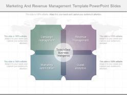 Custom marketing and revenue management template powerpoint slides