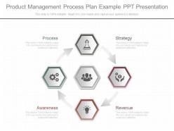 Custom product management process plan example ppt presentation