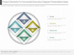 Custom project elements for successful execution diagram presentation ideas