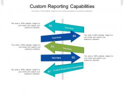 Custom reporting capabilities ppt powerpoint presentation summary template cpb