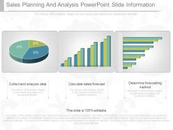 Custom Sales Planning And Analysis Powerpoint Slide Information