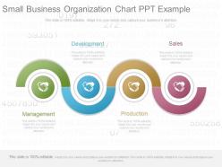 Custom Small Business Organization Chart Ppt Example