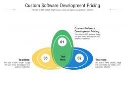 Custom software development pricing ppt powerpoint presentation outline background images cpb