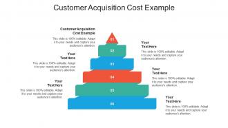 Customer acquisition cost example ppt powerpoint presentation slides graphics download cpb