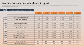 Customer Acquisition Sales Budget Report