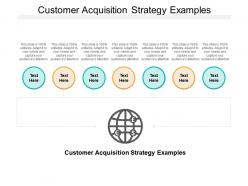 Customer acquisition strategy examples ppt powerpoint presentation styles elements cpb