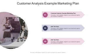 Customer Analysis Example Marketing Plan In Powerpoint And Google Slides Cpb
