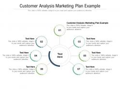 Customer analysis marketing plan example ppt powerpoint presentation styles slide cpb