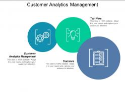 Customer analytics management ppt powerpoint presentation summary format ideas cpb