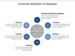 Customer attributes in database ppt powerpoint presentation gallery maker cpb