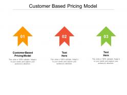 Customer based pricing model ppt powerpoint presentation styles layout cpb