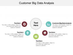 Customer big data analysis ppt powerpoint presentation professional graphics cpb