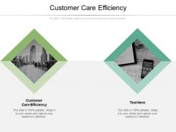 Customer care efficiency ppt powerpoint presentation styles influencers cpb