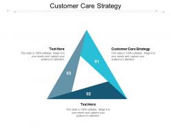 Customer care strategy ppt powerpoint presentation infographic template background cpb