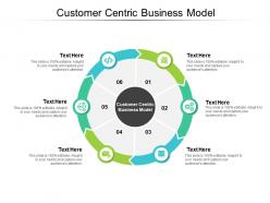 Customer centric business model ppt powerpoint presentation outline cpb