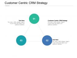 Customer centric crm strategy ppt powerpoint presentation styles grid cpb