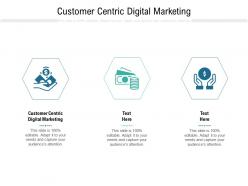 Customer centric digital marketing ppt powerpoint presentation styles layout cpb
