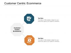 Customer centric ecommerce ppt powerpoint presentation portfolio rules cpb