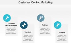 Customer centric marketing ppt powerpoint presentation gallery infographics cpb