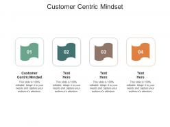 Customer centric mindset ppt powerpoint presentation infographic template demonstration cpb