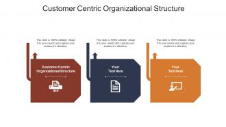 Customer centric organizational structure ppt powerpoint presentation designs cpb