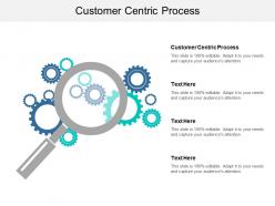 Customer centric process ppt powerpoint presentation show diagrams cpb
