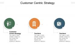 Customer centric strategy ppt powerpoint presentation model outfit cpb