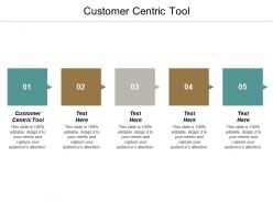 Customer centric tool ppt powerpoint presentation file example topics cpb