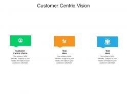 Customer centric vision ppt powerpoint presentation gallery show cpb